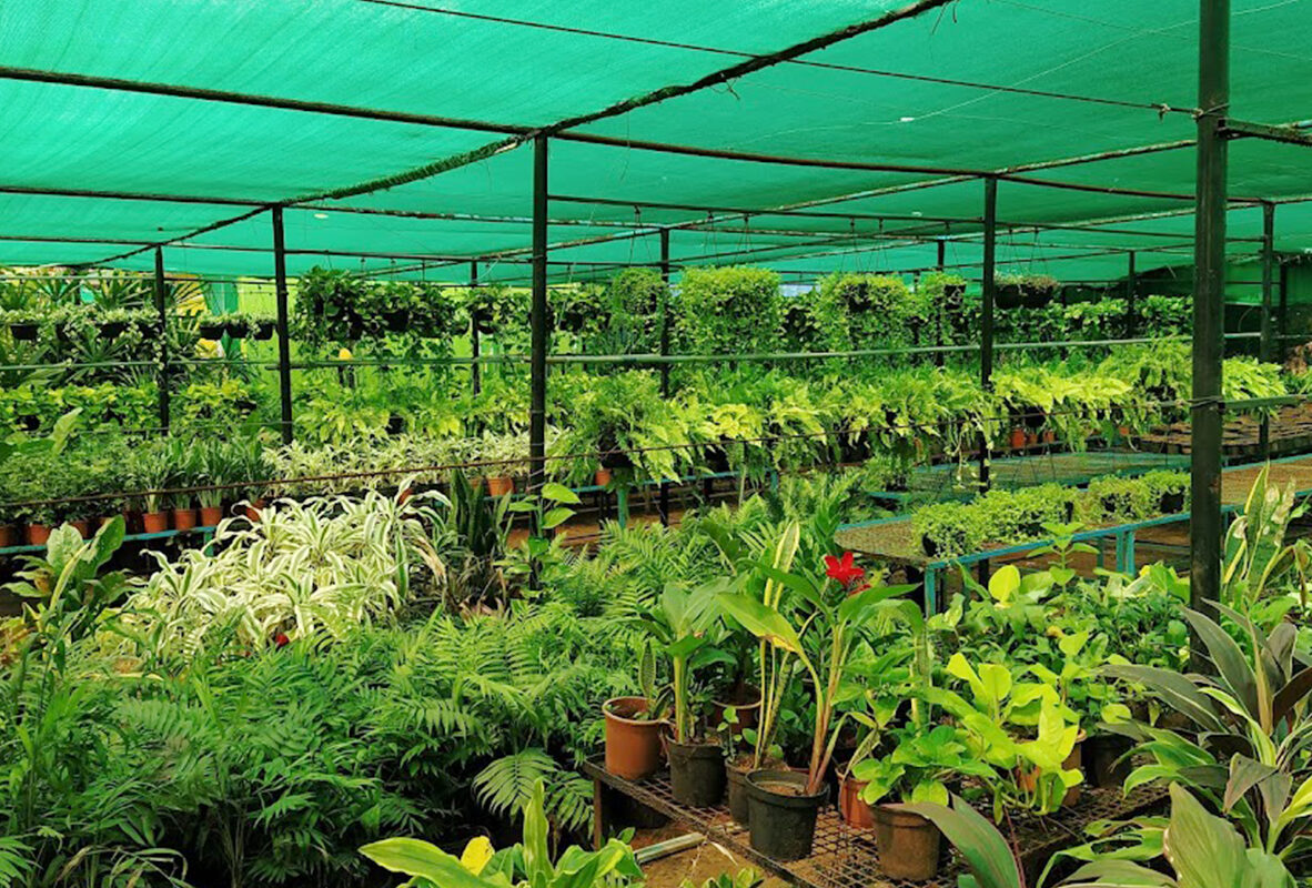 Nursery & Planting Agritox Grow Nursery & Planting Agritox Grow