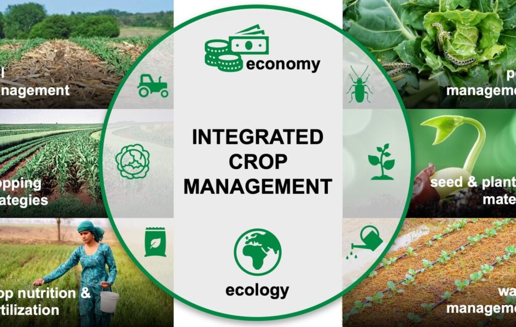 Soil and Crop Management