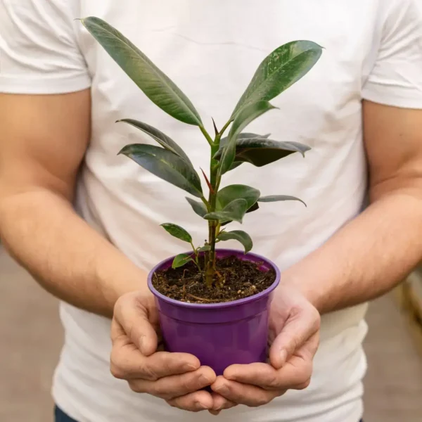 ab-author-10 ab-author-10