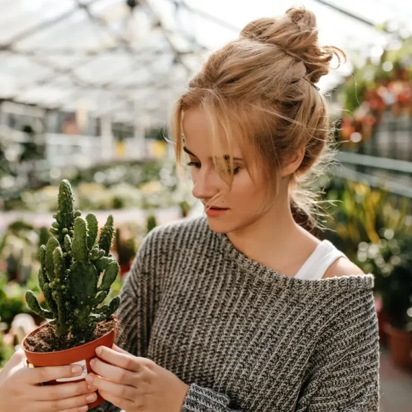 ab-author-11 ab-author-11