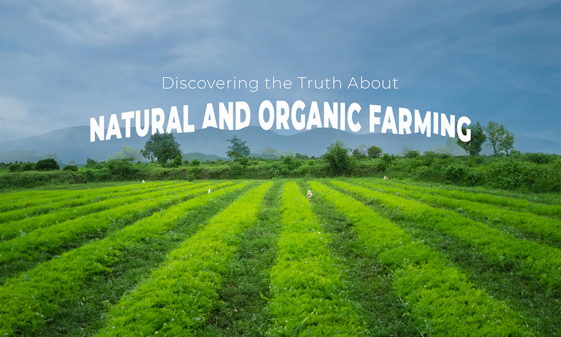 Soil health is improved with organic farming practices Soil health is improved with organic farming practices