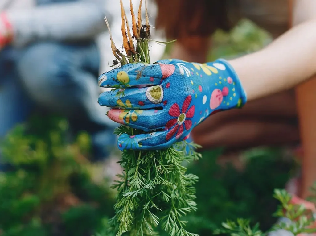 post-img-10-min post-img-10-min