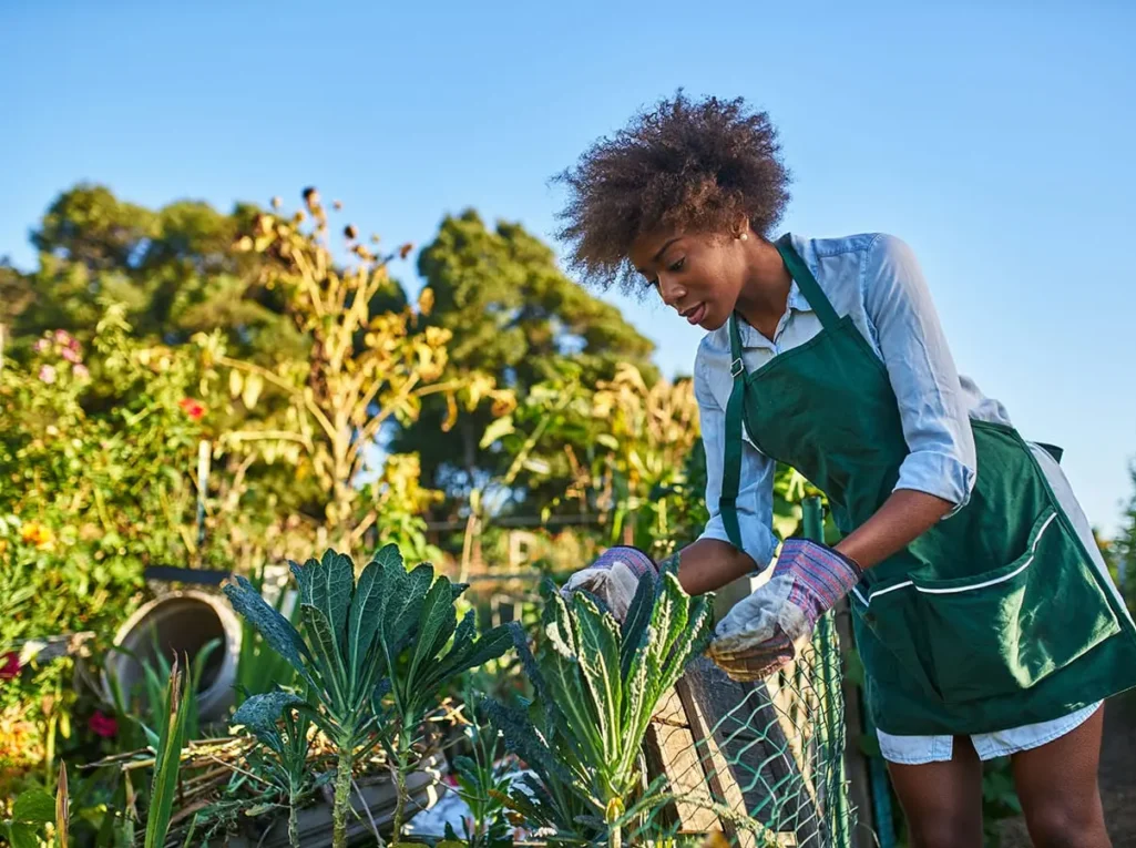 post-img-2-min post-img-2-min