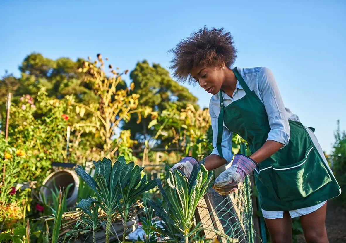 post-img-2-min post-img-2-min