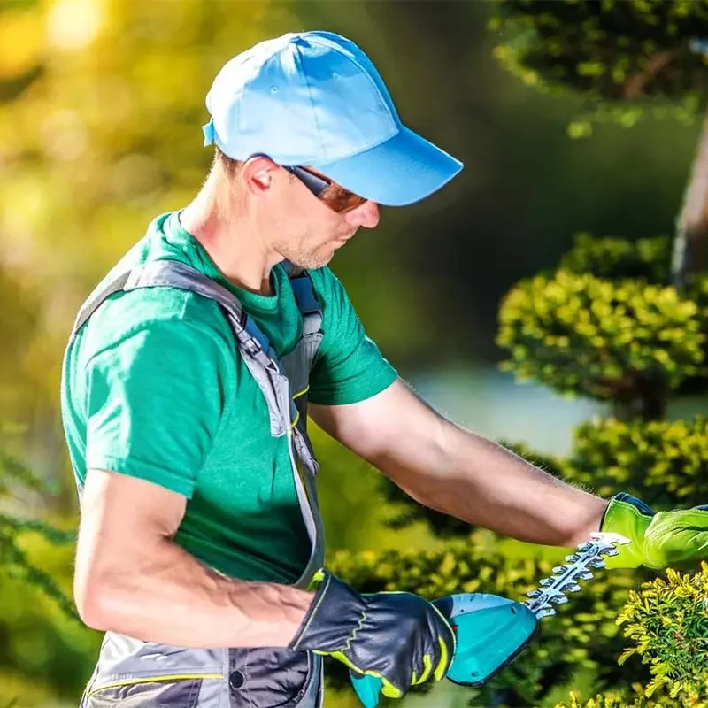 studies-img3 studies-img3