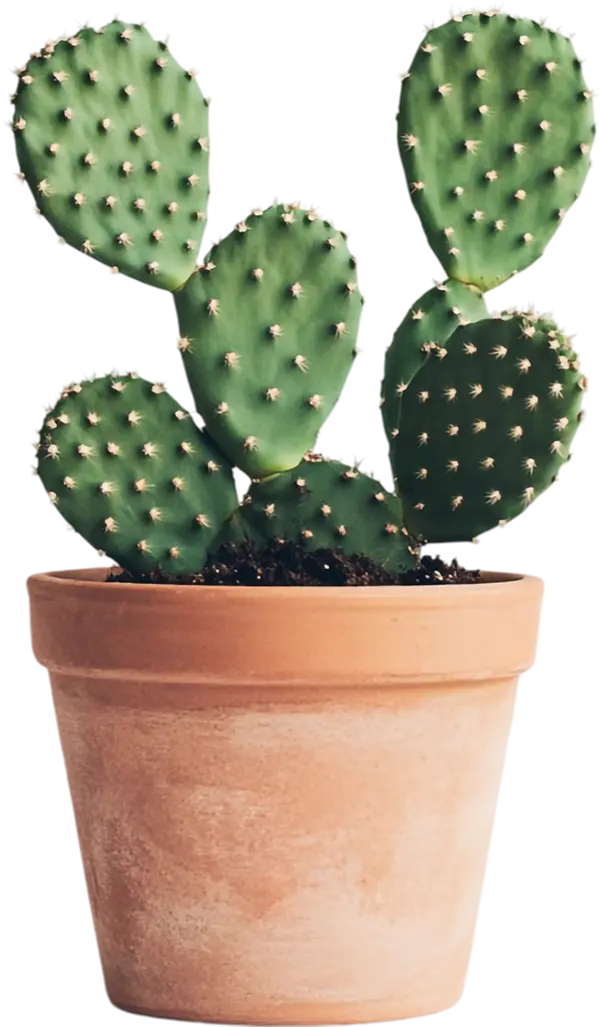 Monsterra 2 - Image 3