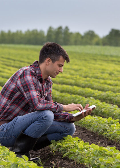 Agritox Grow About Us Agritox Grow About Us